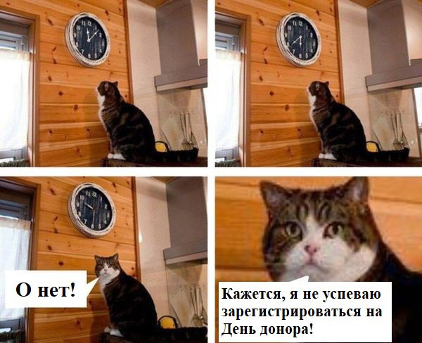 Движение #Ятвойдонор в Санкт-Петербурге начинает подготовку к новому Донорскому марафону!